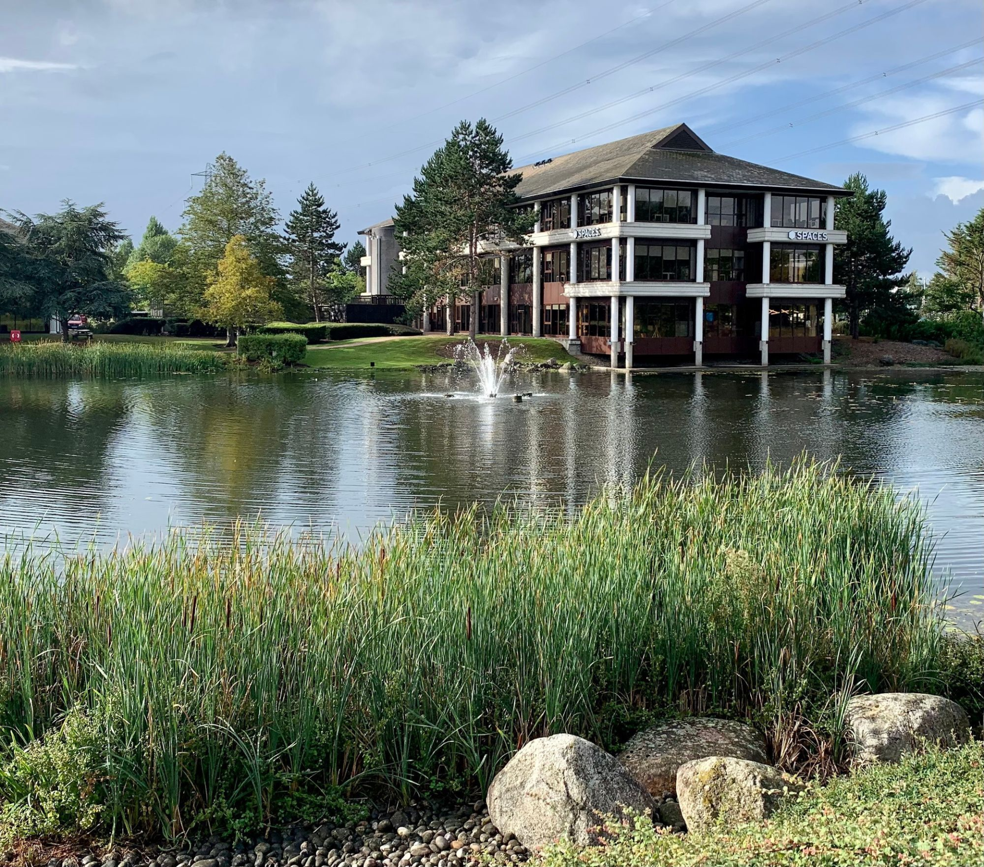 Office building by a lake with a fountain, surrounded by trees, reeds, and rocks under a cloudy sky.