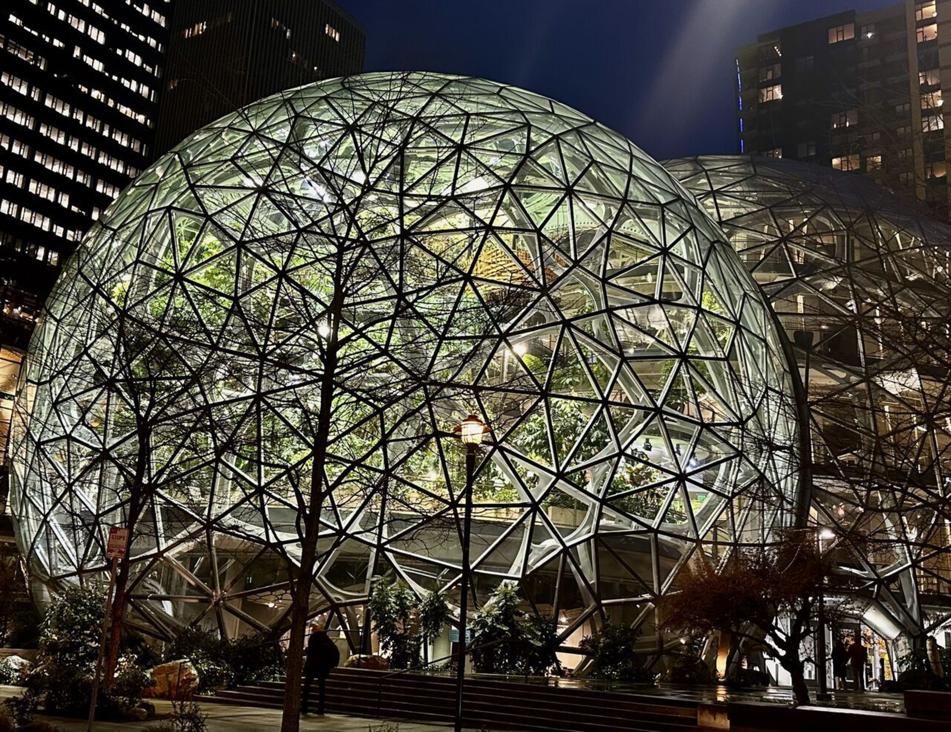Two large, illuminated glass geodesic domes with lush plants inside, at night.